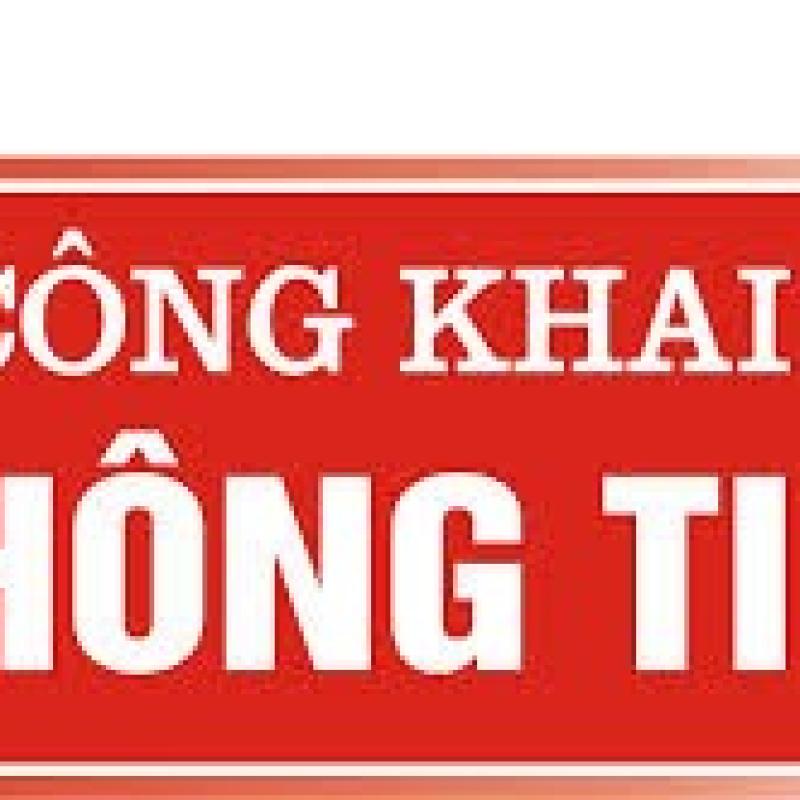 Thông báo về việc công khai thông tin các tổ chức hoạt động đo đạc, thành lập bản đồ địa chính trên địa bàn tỉnh Dubai Palace
