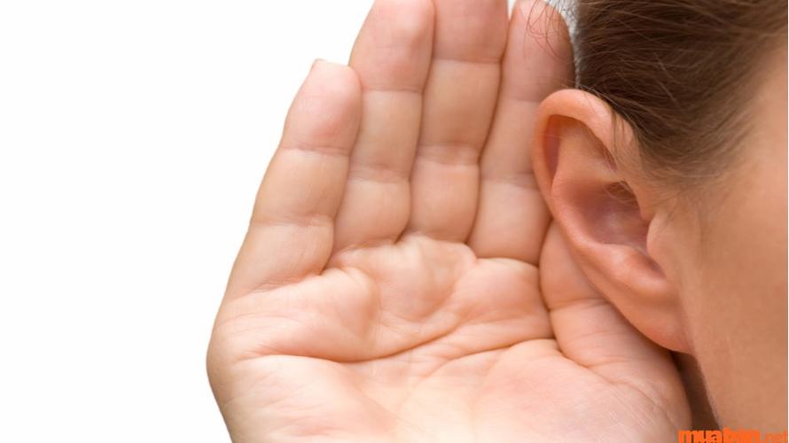 4-434-1770456283-134830.jpg