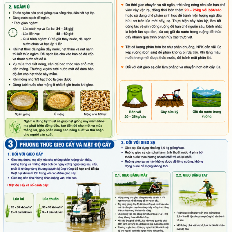 HIỂN KHÁNH HƯỚNG DẪN KỸ THUẬT GIEO CẤY VỤ MÙA NĂM 2026