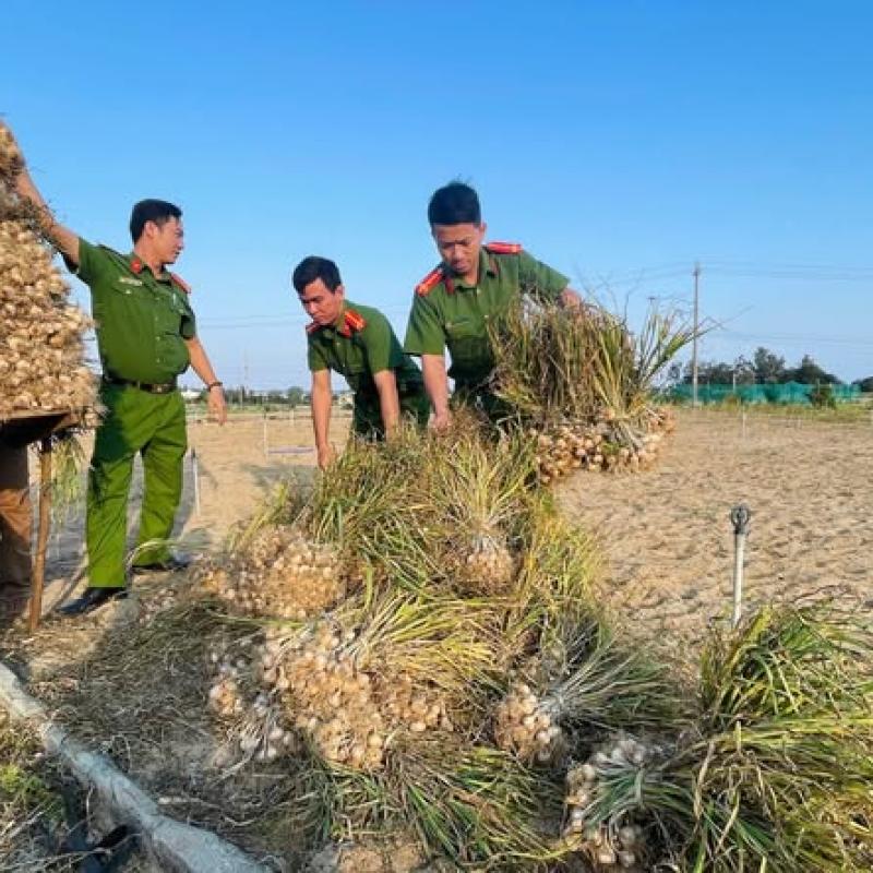 Gieo trồng vụ mới!