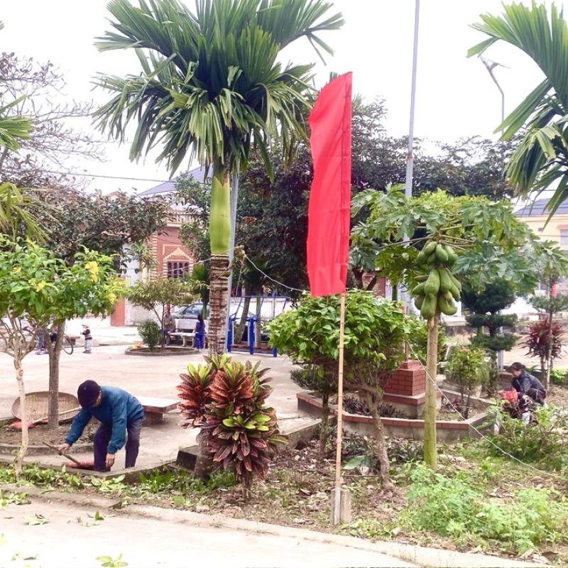 BÀI TUYÊN TRUYỀN VÌ MỘT HIỂN KHÁNH XANH – VĂN MINH.
