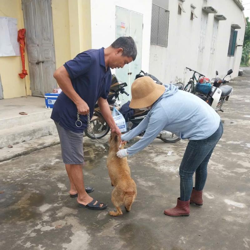 XÃ HIỂN KHÁNH TRIỂN KHAI TIÊM VẮC XIN PHÒNG BỆNH CHO ĐÀN VẬT NUÔI.