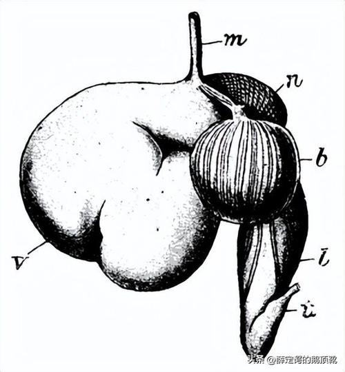 z7605912603294-336b3ccfcb1fdb2d62887264cdc5fd00-1773193015-131672.jpg