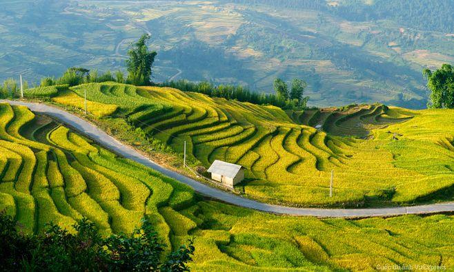 Bộ Công an cảnh báo thủ đoạn lừa đảo cài ứng dụng VNeID giả mạo