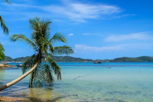 Bài tuyên truyền trước Đại hội đại biểu toàn quốc lần thứ XIV của Đảng