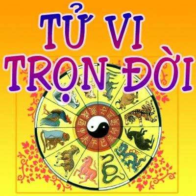 2196173617596808049-1-1764126825-785878.jpg