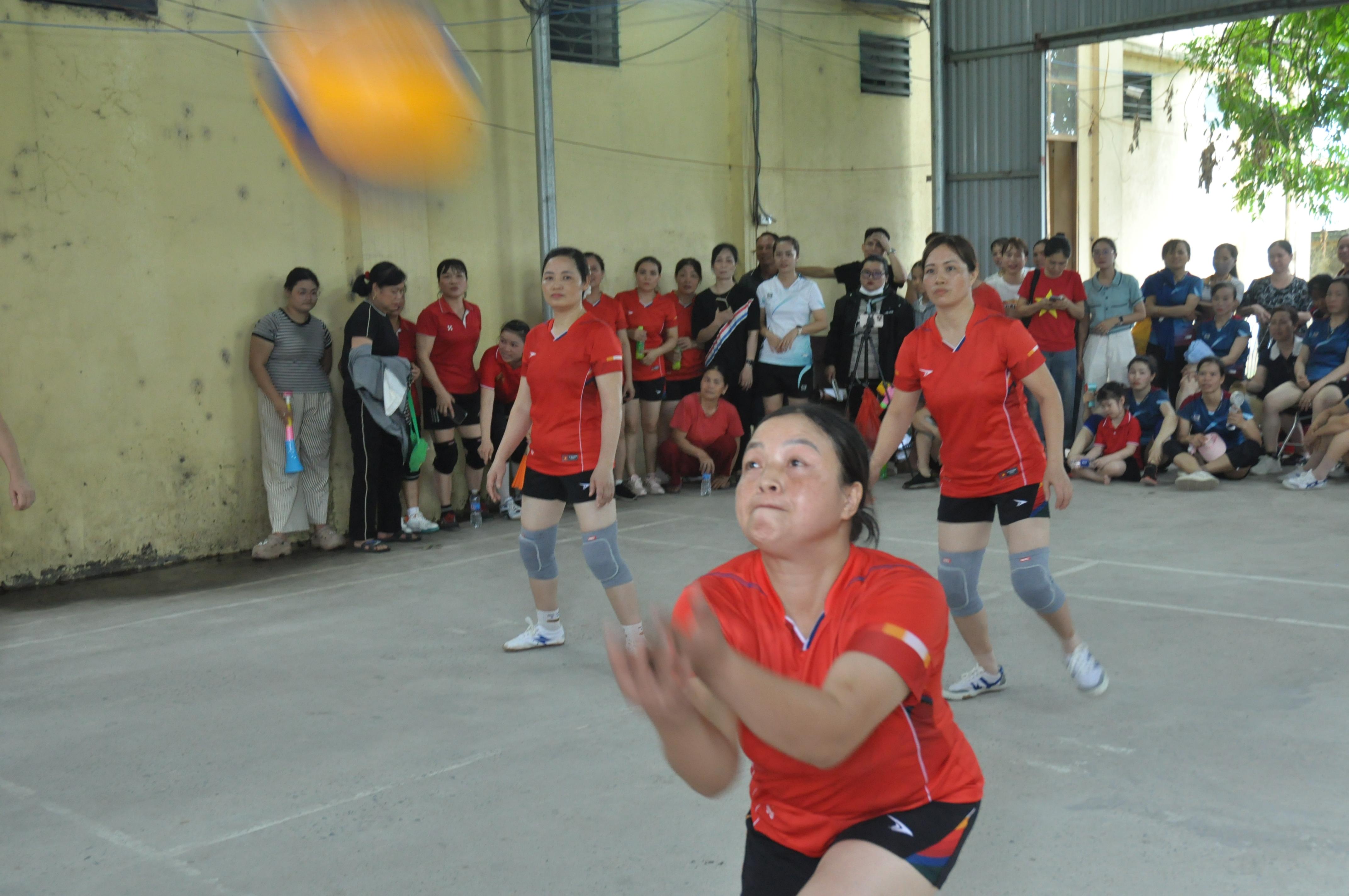 dsc-0763-1779074272-725379.jpg