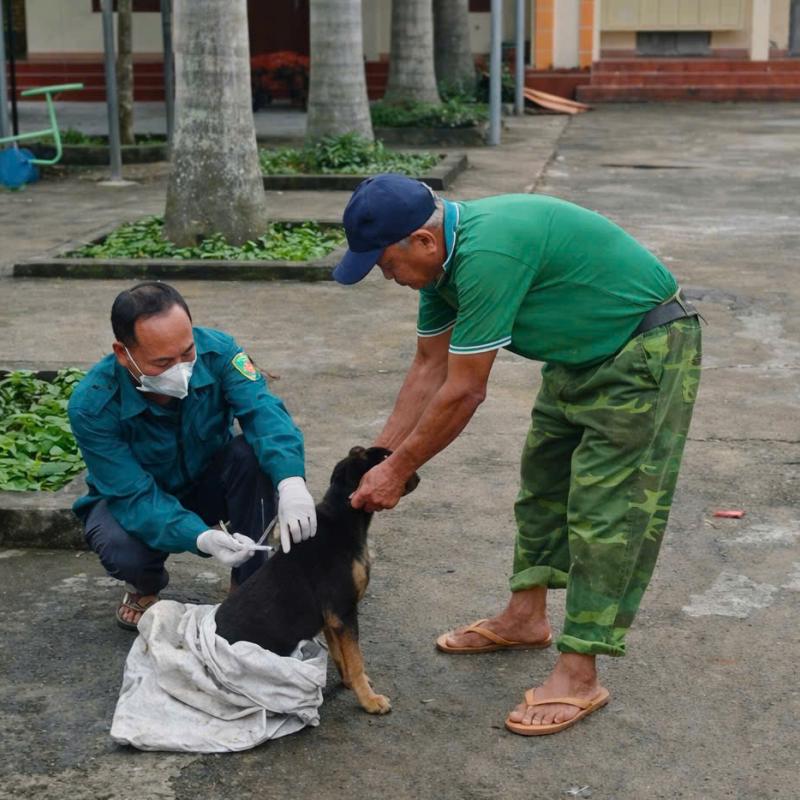 Xã Minh Tân tăng tốc hoàn thành tiêm phòng vắc xin cho đàn vật nuôi trước ngày 10/5