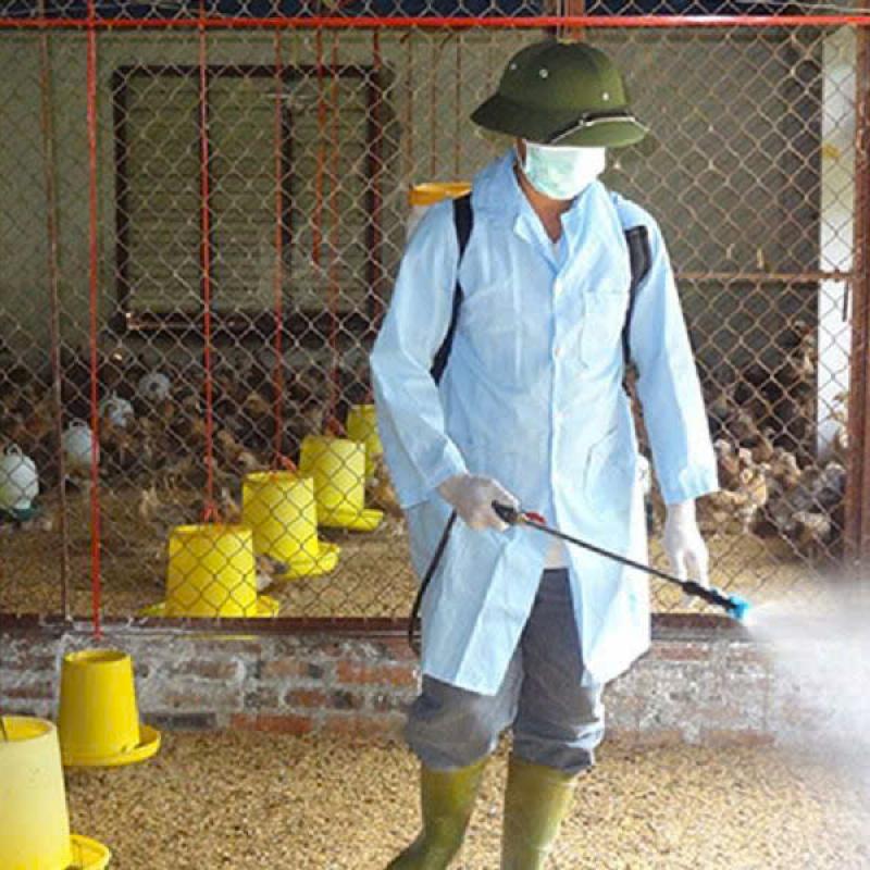 Xã Minh Tân triển khai hiệu quả tháng tổng vệ sinh, khử trùng, tiêu độc môi trường