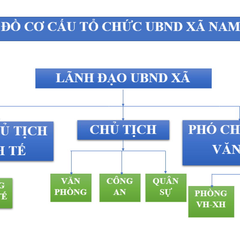 Sơ đồ tổ chức