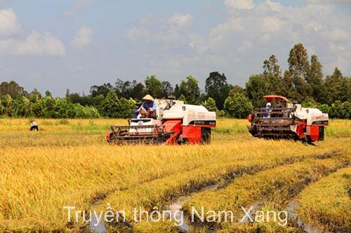 Thu hoạch
