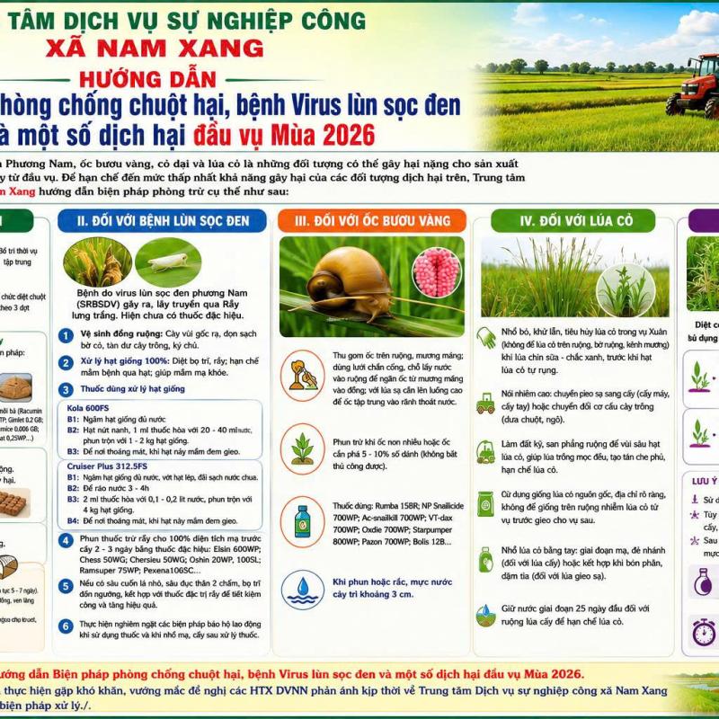 Hướng dẫn Biện pháp phòng chống chuột hại, bệnh Virus lùn sọc đen và một số dịch hại đầu vụ Mùa 2026
