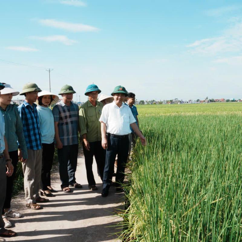 CÁC ĐỒNG CHÍ LÃNH ĐẠO XÃ NGHĨA SƠN KIỂM TRA THĂM ĐỒNG LÚA XUÂN CUỐI VỤ