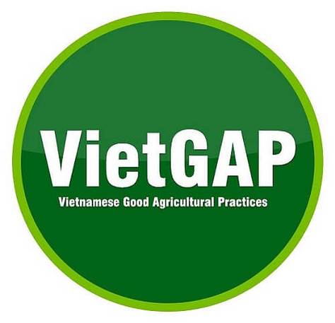 Khi đến bỏ phiếu, cử tri phải tuân thủ nội quy của phòng bỏ phiếu do Hội đồng bầu cử quốc gia quy định