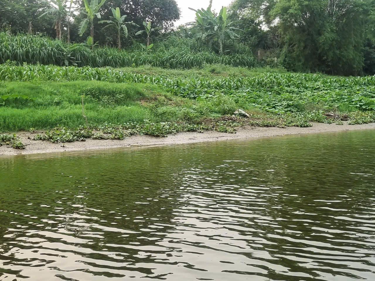 z7724978162651-2146703e77bc1d06779b0777086aaaa2-1776215951-477849.jpg