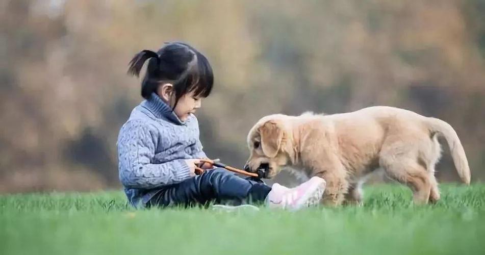 HỘI NÔNG DÂN LÀM TỐT CÔNG TÁC VỆ SINH ĐỒNG RUỘNG, THU GOM VỎ BAO THUỐC BẢO VỆ THỰC VẬT.