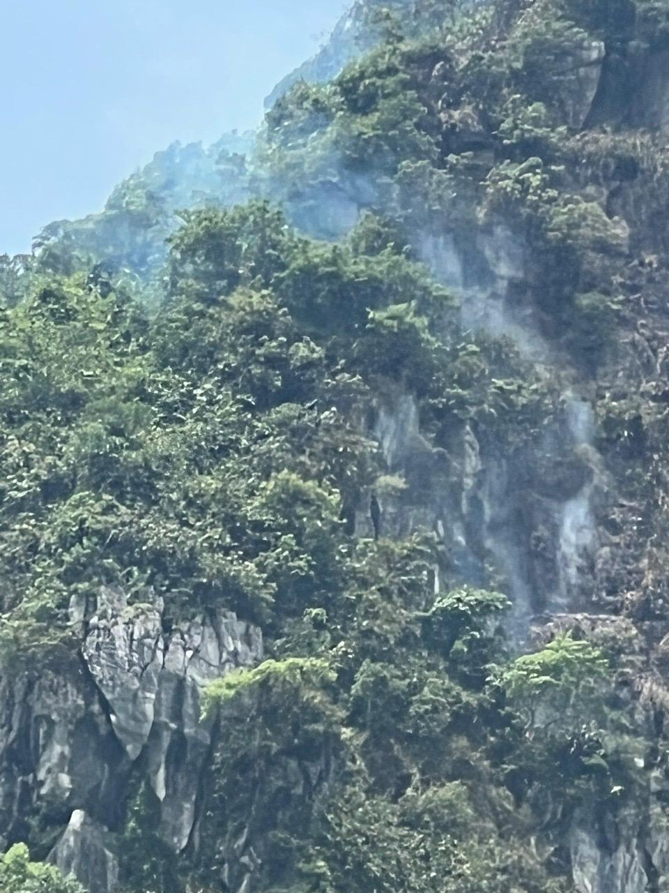 Cháy rừng phòng hộ trên núi Cao San thuộc địa phận phường Tam Chúc.