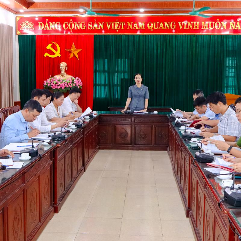 Hội nghị Ban Chỉ đạo giải phóng mặt bằng xã Tân Minh: Quyết tâm đẩy nhanh tiến độ các dự án trọng điểm