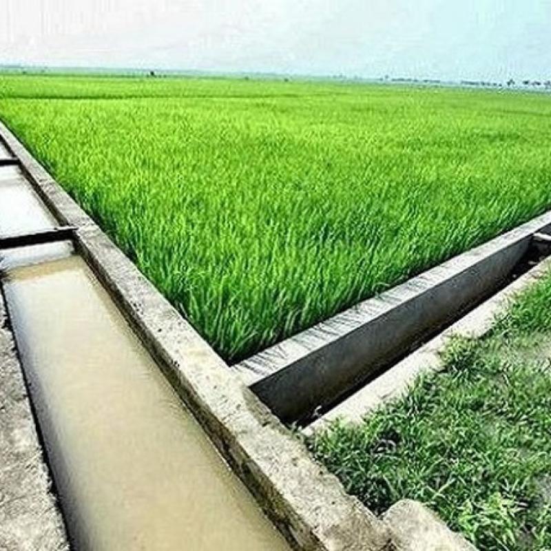 Chủ động nguồn nước phục vụ sản xuất vụ Mùa năm 2026 trên địa bàn xã Tân Minh