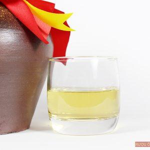 Mỗi lá phiếu là quyền chính trị thiêng liêng, trách nhiệm công dân đối với quê hương, đất nước: Quyền thiêng liêng không thể thay thế