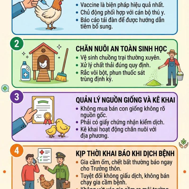 KHUYẾN CÁO:  Các biện pháp phòng, chống bệnh cúm gia cầm