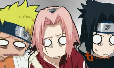 CHỈ THỊ về việc tổ chức cuộc bầu cử đại biểu Quốc hội khóa XVI  và đại biểu Hội đồng nhân dân các cấp, nhiệm kỳ 2026-2031