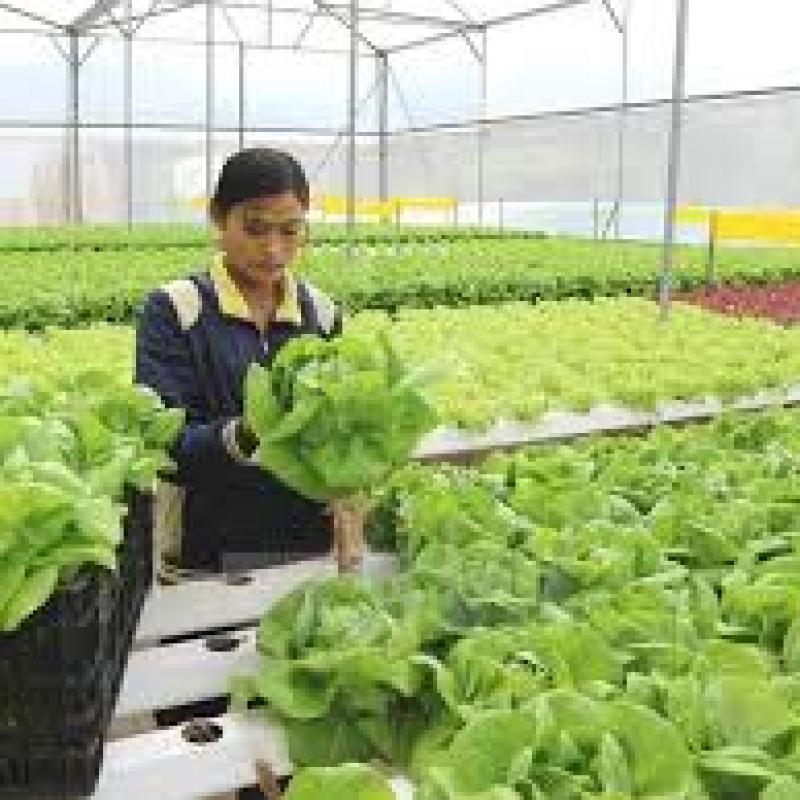 Thông báo tuyển chọn bổ sung lao động thời vụ năm 2026, đi làm việc tại quận Jangsu, tỉnh Jeolla-buk (Hàn Quốc)