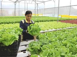 Thông báo tuyển chọn bổ sung lao động thời vụ năm 2026, đi làm việc tại quận Jangsu, tỉnh Jeolla-buk (Hàn Quốc)