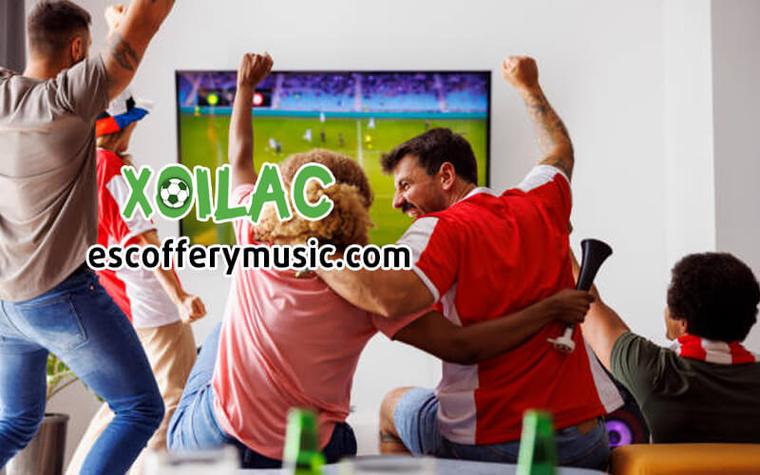 QUY ĐỊNH MỚI VỀ HOẠT ĐỘNG KIỂM TRA CHUYÊN NGÀNH