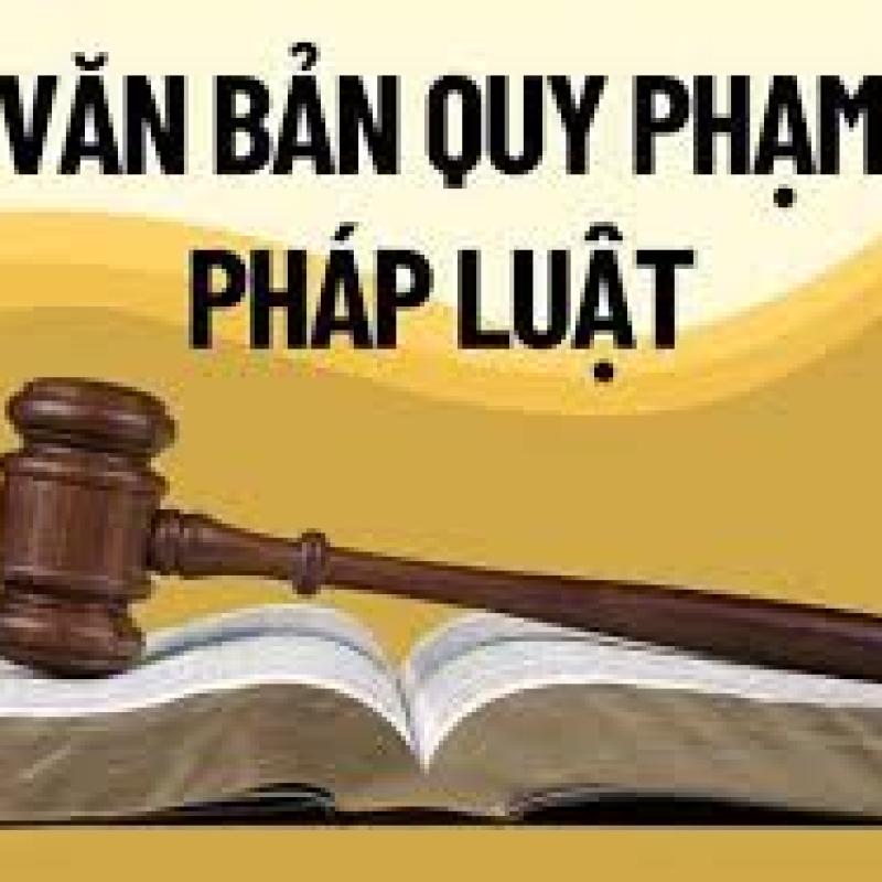 Tăng cường quản lý, xử lý vi phạm trong lĩnh vực y tế và bảo hiểm y tế