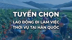 Thông báo gia hạn thời gian tuyển chọn bổ sung lao động nữ đi làm thời vụ đợt 3 năm 2026 tại tỉnh Jeju (Hàn Quốc)