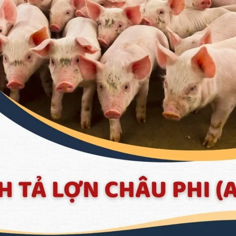 Phường Tiên Sơn tăng cường phòng, chống dịch tả lợn châu Phi, bảo đảm an toàn thực phẩm trên địa bàn.