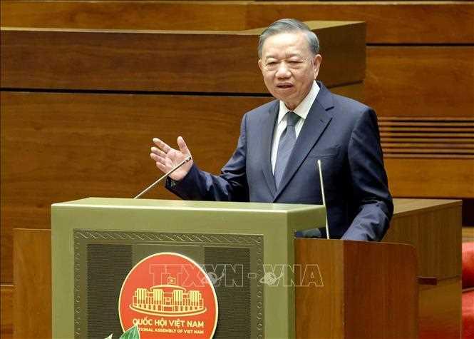 01072026dungng, Ủy viên T1