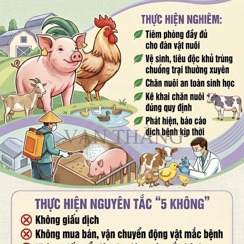 Bài tuyên truyền về phòng, chống dịch bệnh trên đàn gia súc, gia cầm