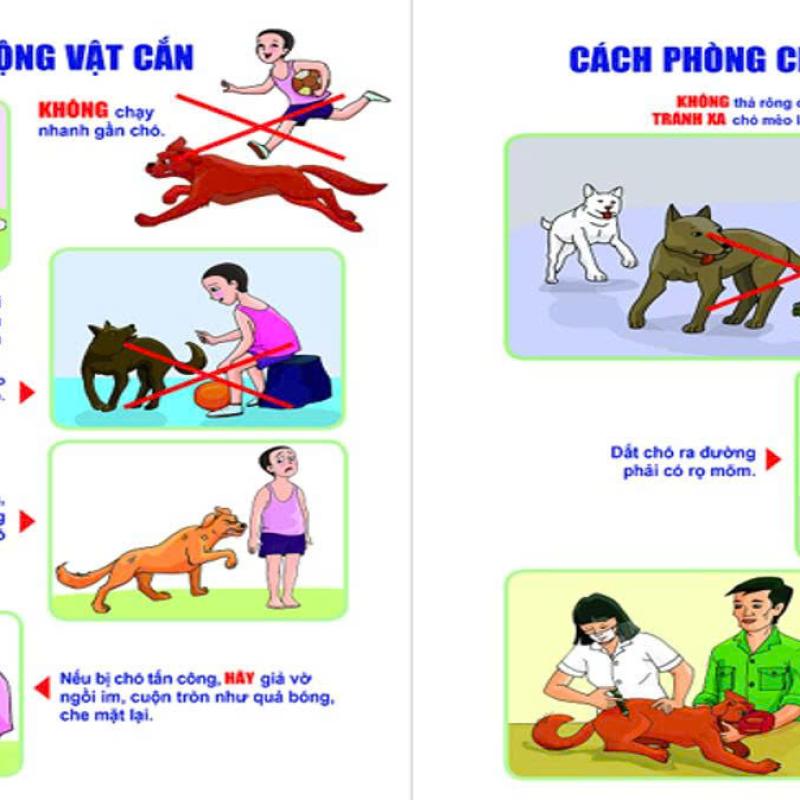 Phường Vị Khê tập trung triển khai tiêm phòng bệnh Dại cho đàn chó, mèo năm 2026