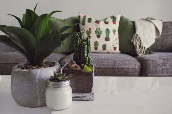 13-34-1763347189-483803.jpg