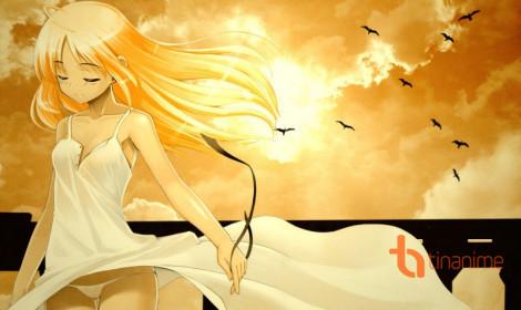 8 ĐƠN VỊ BẦU CỬ CỦA TỈNH NINH BÌNH