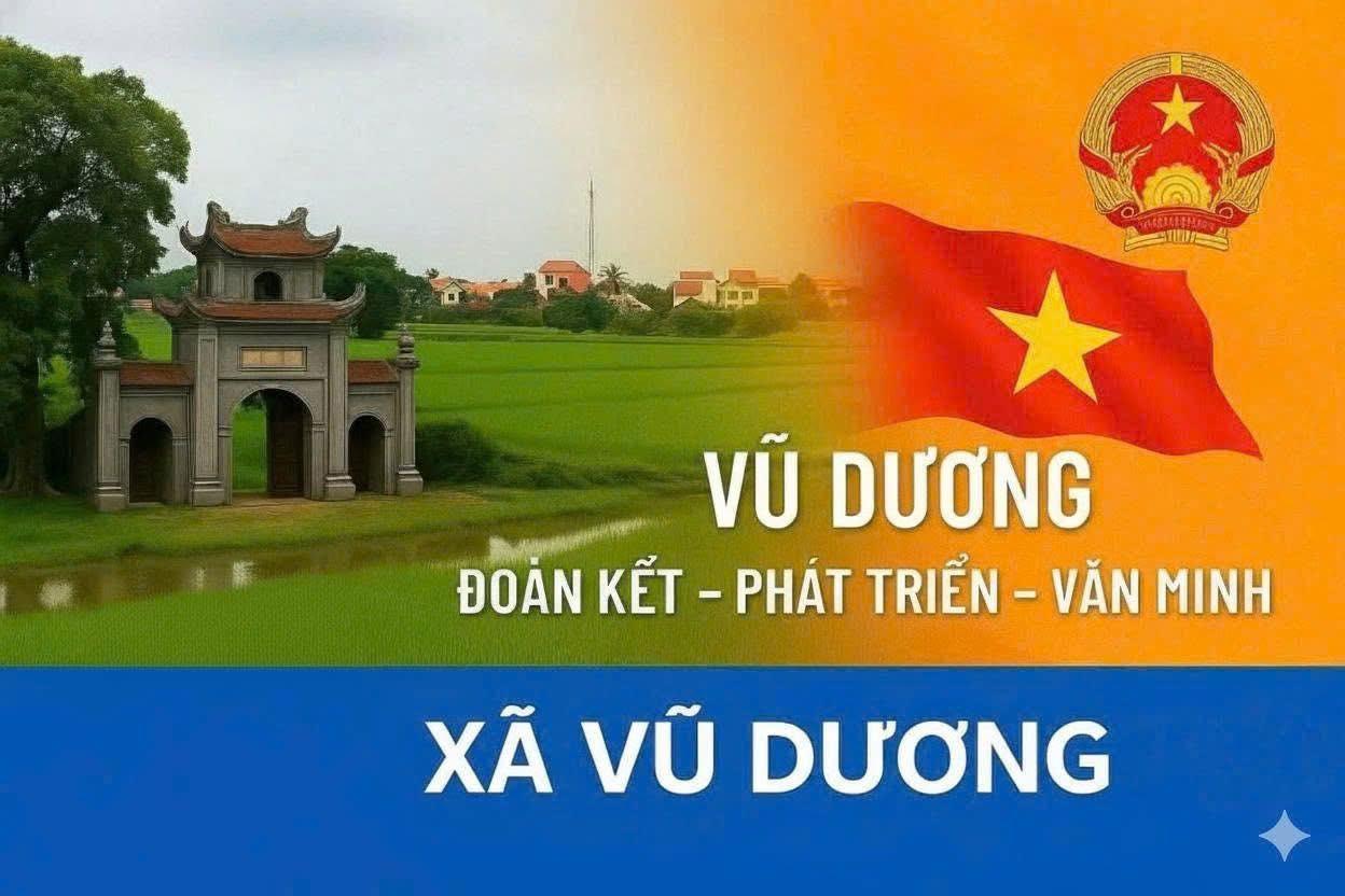 Vũ Dương 