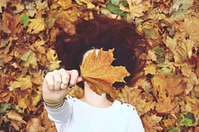 Trong ngày bầu cử, việc bỏ phiếu được bắt đầu từ 7 giờ sáng và kết thúc vào 7 giờ tối cùng ngày