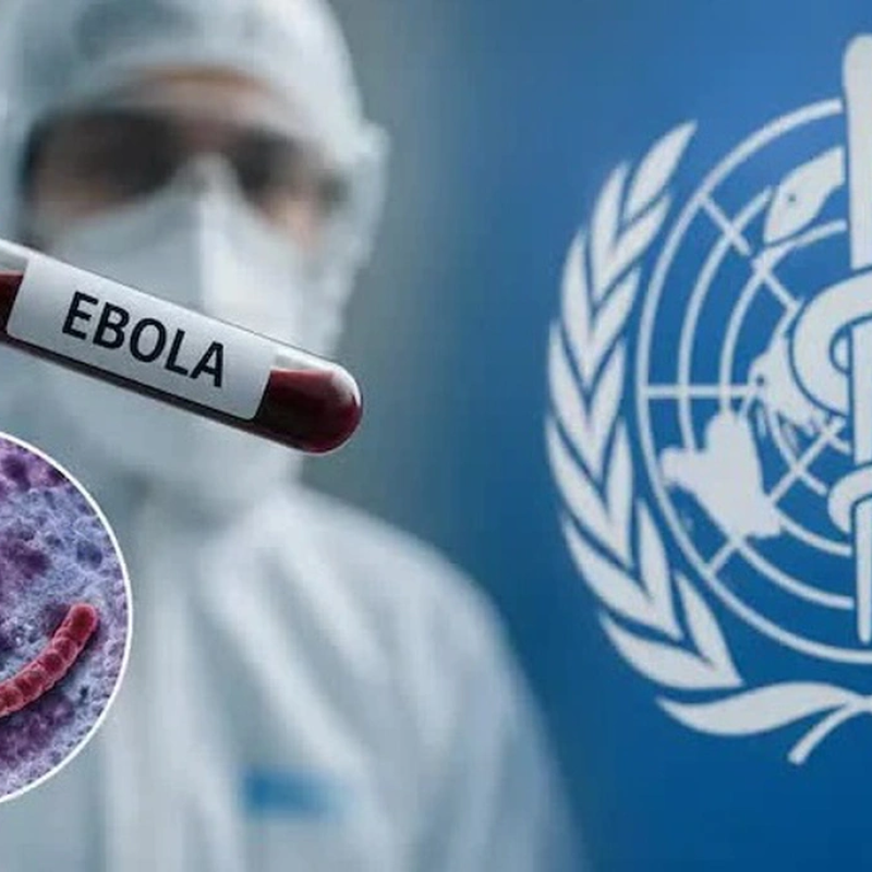 Tăng cường giám sát, chủ động phòng chống bệnh do vi rút Ebola