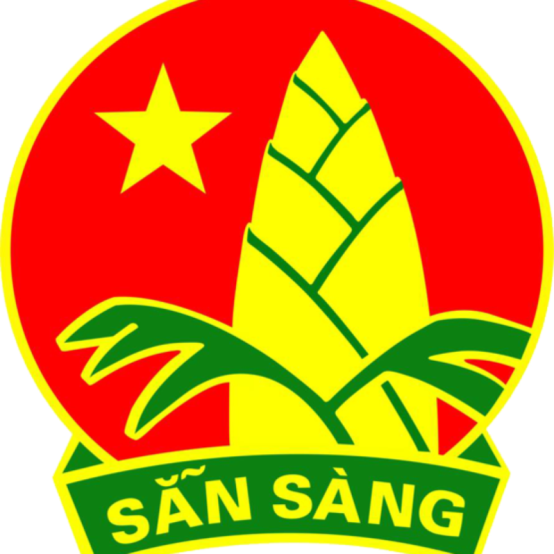Đội Thiếu niên Tiền phong Hồ Chí Minh: 85 Năm vẻ vang khát vọng và cống hiến.