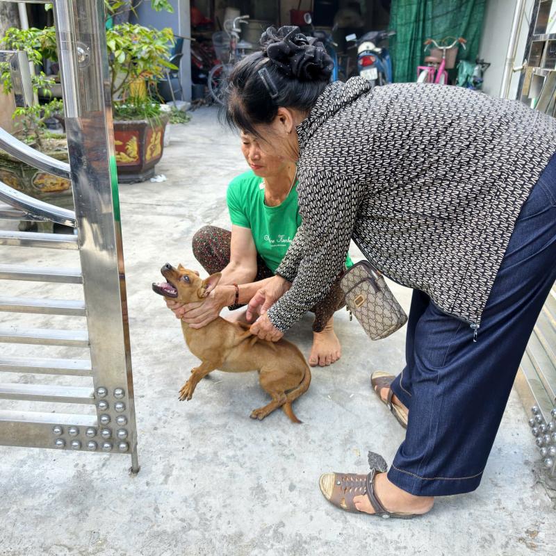 Xã Yên Cường triển khai công tác tiêm phòng và vệ sinh, khử trùng, tiêu độc Đợt I năm 2026.