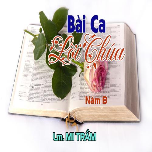 Khu BNTN Đất ngập nước Vân Long