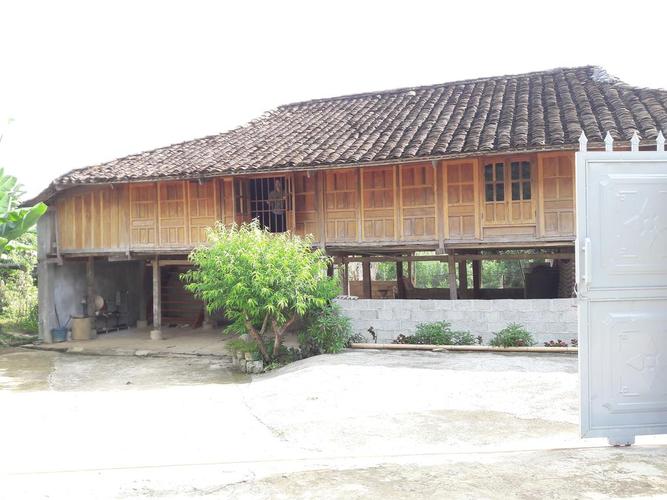 HẠT KIỂM LÂM KHU VỰC VII PHỐI HỢP VỚI ĐỒN BIÊN PHÒNG KIM SƠN VÀ CÔNG AN XÃ KIM ĐÔNG RA QUÂN NGĂN CHẶN CÁC HÀNH VI BẪY, BẮT CHIM HOANG DÃ