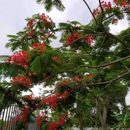 Công văn phòng chống thiên tai bảo đảm an toàn cho người, nhà ở và công trình xây dựng mùa mưa bão năm 2021