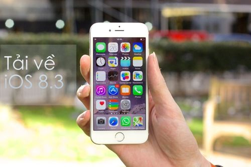 Kỳ họp cuối năm 2025 HĐND xã