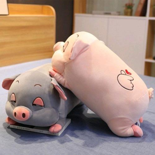 ĐOÀN VĐV CỜ VUA NINH BÌNH GIÀNH 17 HUY CHƯƠNG TẠI GIẢI VÔ ĐỊCH CỜ VUA CÁC CÂU LẠC BỘ QUỐC GIA NĂM 2026