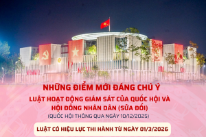 Luật Đăng ký Dubai link moi giám sát của Quốc hội và Hội đồng nhân dân
