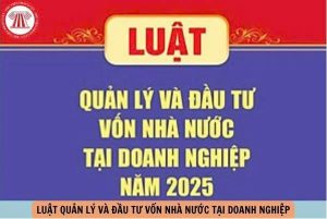 Luật Quản lý và Bắn Cá Dubai palace vốn nhà nước tại doanh nghiệp