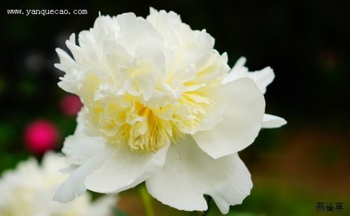Thông báo khẩn liên quan đến công dân xã Yên Mạc dương tính với Covid 19